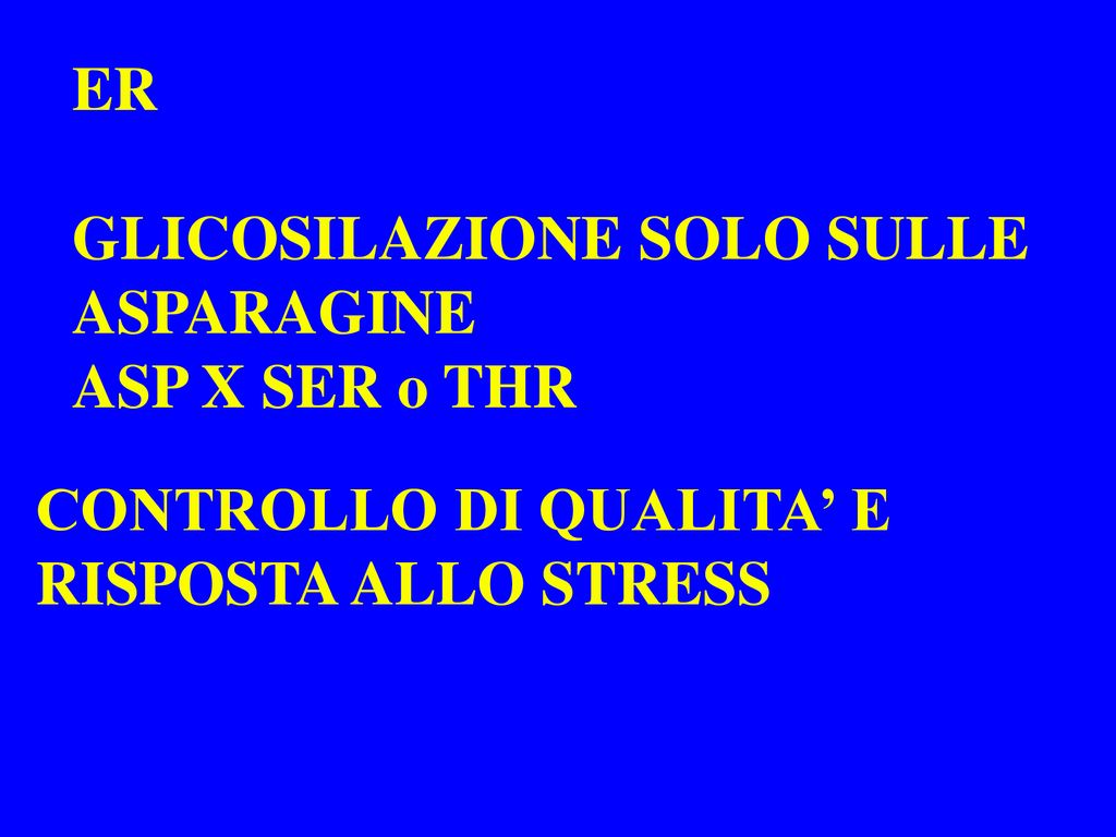 CI Di Biologia Molecolare E Cellulare Ppt Scaricare